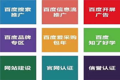 SEM推广代运营公司：实战案例解析